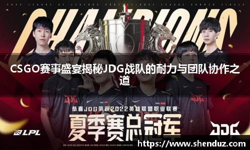 CSGO赛事盛宴揭秘JDG战队的耐力与团队协作之道