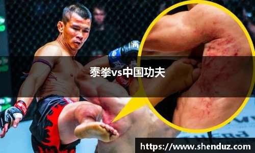 泰拳vs中国功夫
