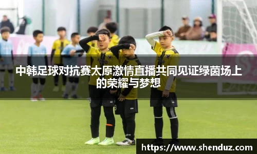 中韩足球对抗赛太原激情直播共同见证绿茵场上的荣耀与梦想