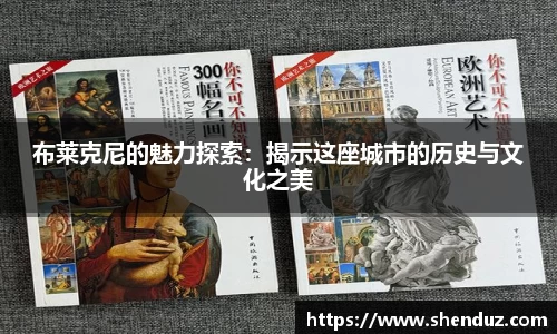 布莱克尼的魅力探索：揭示这座城市的历史与文化之美